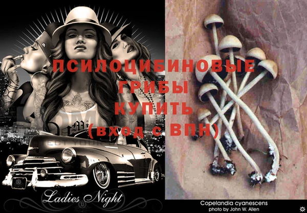 таблы Горнозаводск